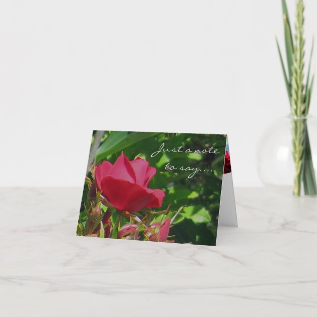 Rose Garden Note Card Karte (Vorderseite)