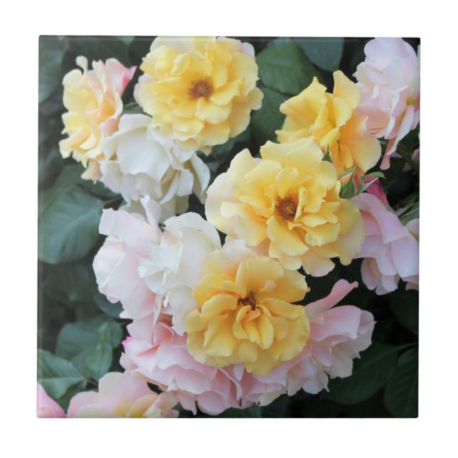 Rose Garden Pastelle Keramik Tile Fliese (Vorderseite)