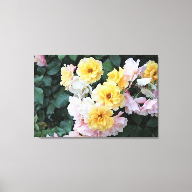 Rose Garden Pastelle Leinwanddruck (Vorderseite)
