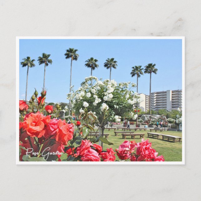 Rose Garden Postkarte (Vorderseite)