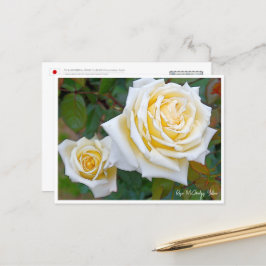Rose Garden Postkarte