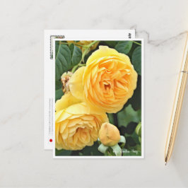 Rose Garden Postkarte