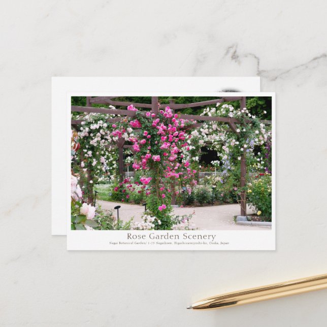 Rose Garden Scenery Postkarte (Vorderseite/Rückseite Beispiel)