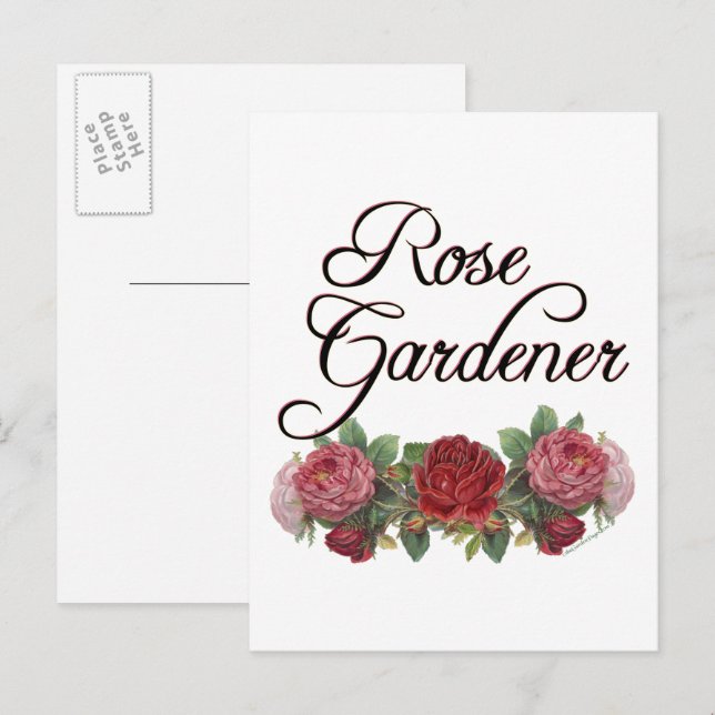 Rose Gardener Sprichwort mit Rose Postkarte (Vorne/Hinten)