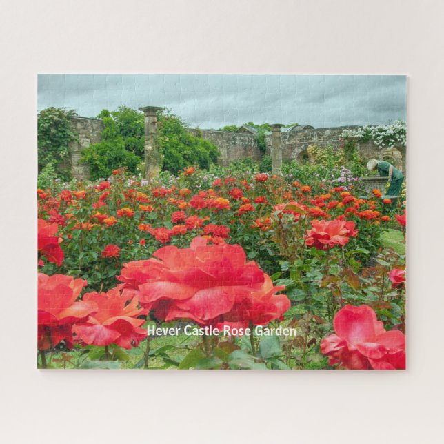 Rose Garten Hever Burg Kent Landschaftliches Bild (Horizontal)
