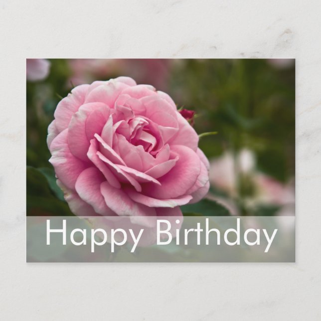 Rose Geburtstagskarte | Rose Postkarte (Vorderseite)