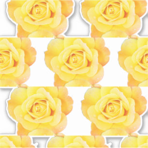 Rose Gelb-Orange Muster Blumengarten Blume Aufkleber