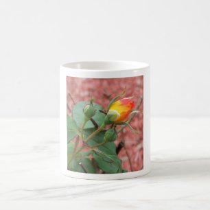 Rose gelb und orange kaffeetasse