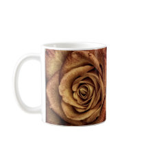 Rose gelb und rot