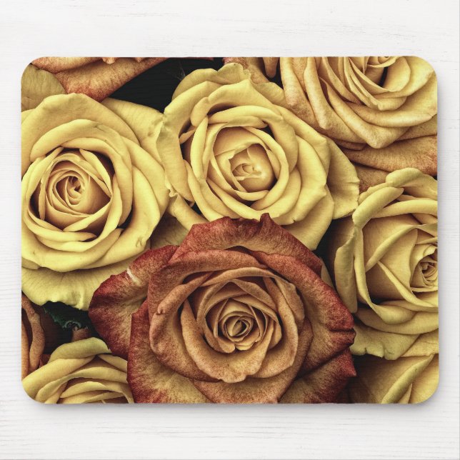 Rose gelb und rot mousepad (Vorne)
