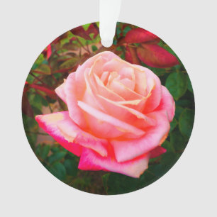Rose Gemini #2-1 Ornement