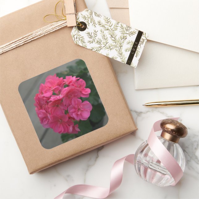 Rose Geranium Blume Quadratischer Aufkleber (Schenken)