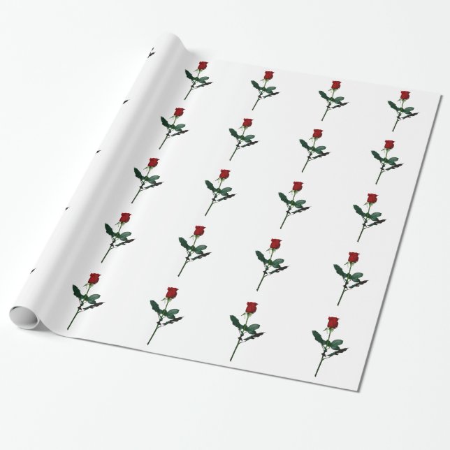 ROSE GESCHENKPAPIER (Ungerollt)