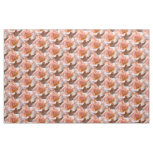 Rose Gewebe Peach Wild Rose Gewebe individuell anp Stoff