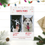 Rose Gold Foil Naughty oder Nice Two Dog Foto Card Folien Feiertagskarte<br><div class="desc">Niedliche und lustige Lieblingskarten! "Santa Paws kommt in die Stadt" zwei Hunde Weihnachtsfotokarte mit unangenehmen oder schönen Auswahlfeldern und echten Folienakzenten!</div>
