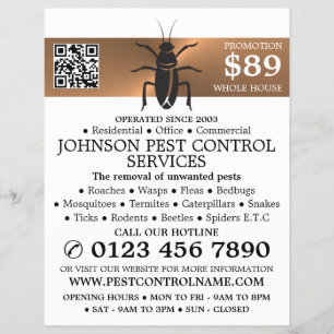 Rose Gold Streifen - Schwarze Schabe - Schädlinge  Flyer