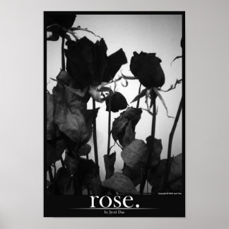 Rose [Grenze] Poster