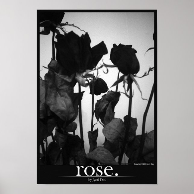 Rose [Grenze] Poster (Vorne)