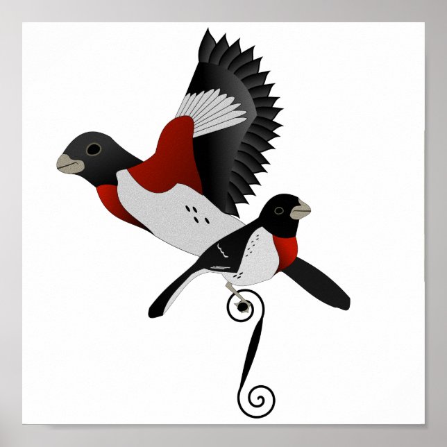 Rose Grosbeak Kardinal Bird gezüchtet Poster (Vorne)