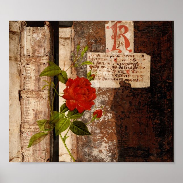 Rose Grunge Poster (Vorne)