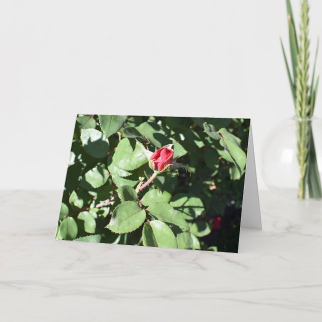 Rose Grußkarte Karte (Vorderseite)
