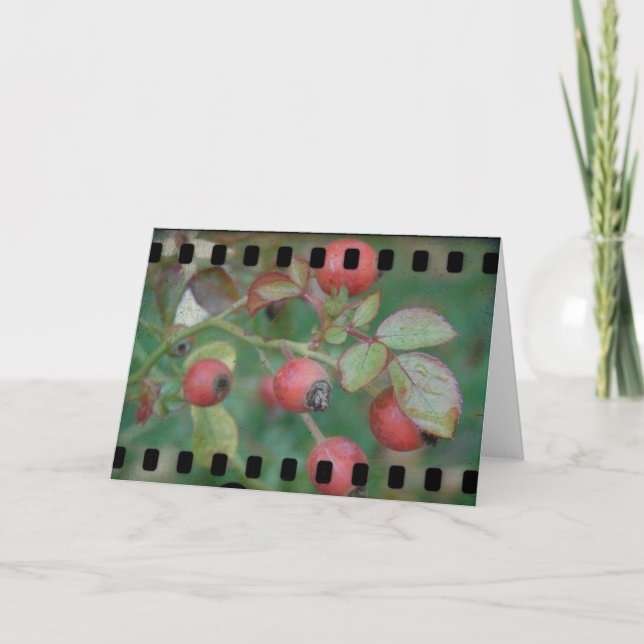 Rose Hips Film Karte (Vorderseite)
