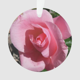 Rose III Jardin Floral