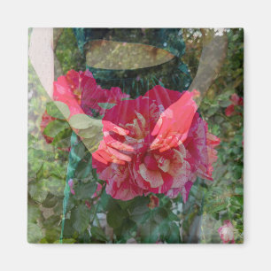 Rose im Bloom Magnet
