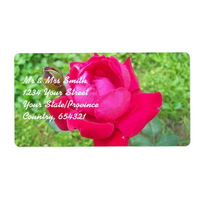 Rose im Blut (Vorne)