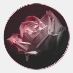 Rose im blutverheirateten Umschlag Aufkleber