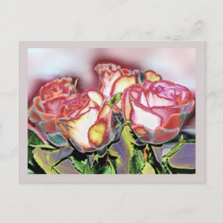Rose im Dezember, Postkarte