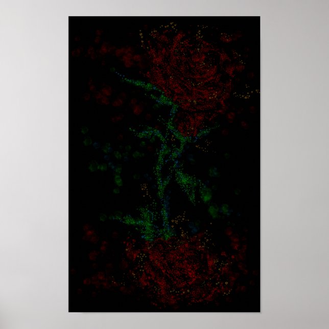 Rose im Dunkeln Poster (Vorne)