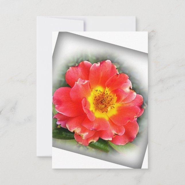 Rose im Herbst Dankeskarte (Vorderseite)