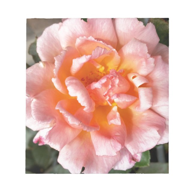 Rose im Herbst Notizblock (Vorderseite)