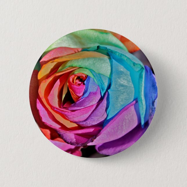 Rose im Multifarbeknopf-Abzeichen Button (Vorderseite)