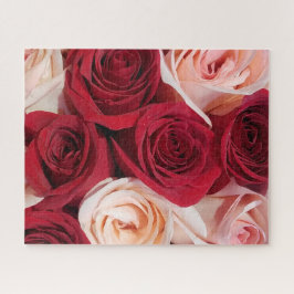 Rose in blass, pink und rot 16x20 520 Stück