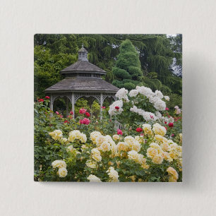 Rose in Blüte und Gazebo Rose Garden im Garten Button