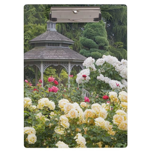 Rose in Blüte und Gazebo Rose Garden im Garten Klemmbrett (Vorderseite)