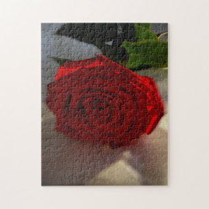 Rose in der Abenddämmerung