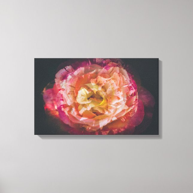 Rose in einem Doppelbelichtungsbild Leinwanddruck (Vorderseite)