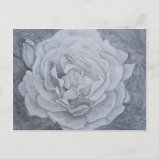 Rose in Graphit Postkarte