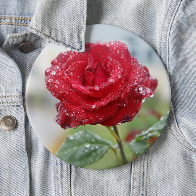 Rose in Regentropfen  Button (Beispiel)