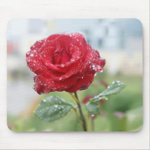 Rose in Regentropfen Mousepad