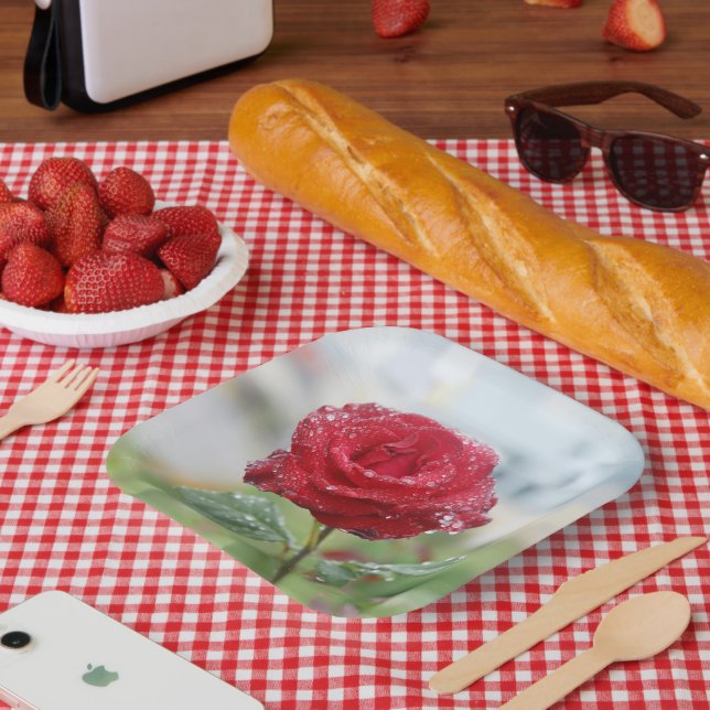 Rose in Regentropfen Pappteller (Picknick)