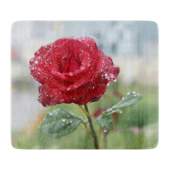 Rose in Regentropfen Schneidebrett (Vorderseite)