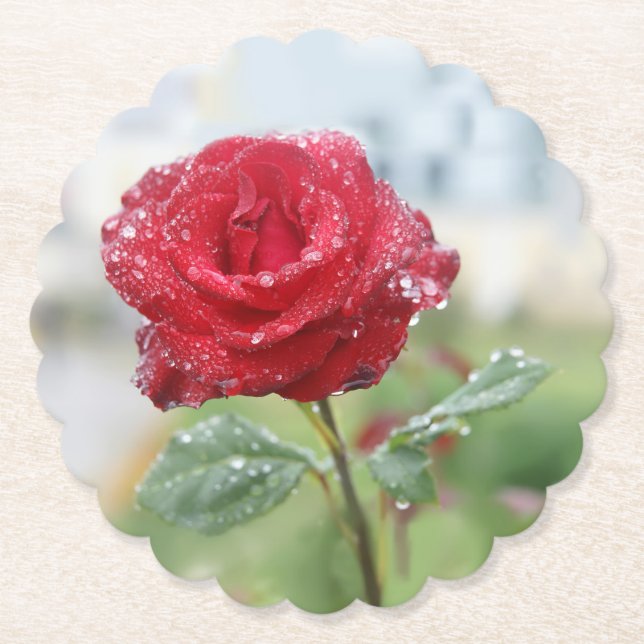 Rose in Regentropfen Untersetzer (Vorderseite)