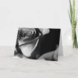 Rose in Schwarz und Weiß Karte