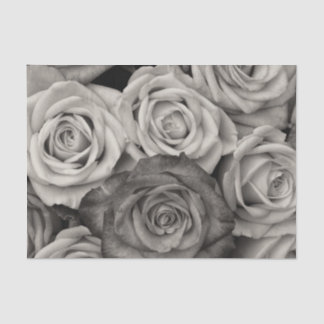 Rose in Schwarz und Weiß Seidenpapier