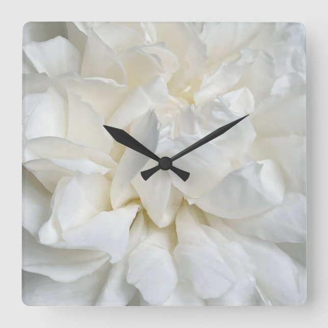 Rose in Weiß Quadratische Wanduhr (Vorderseite)
