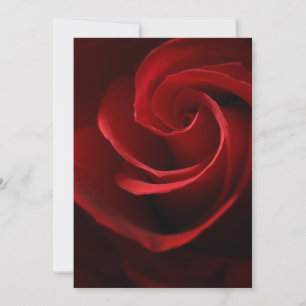 Rose     INVITATIONSRed Einladung